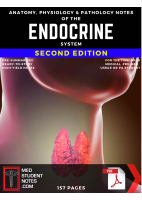 Endocrine_Notes.pdf